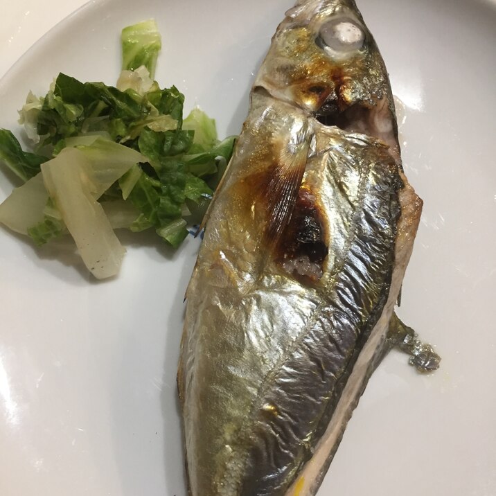手作り白菜漬けと真あじの塩焼き レシピ 作り方 By のこ311 楽天レシピ 手作り白菜漬けと真あじの塩焼き レシピ 作り方 By のこ311 楽天レシピ